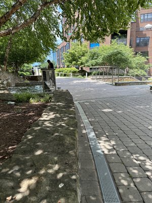 Flats at Bethesda Avenue