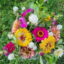 Third Street Floral