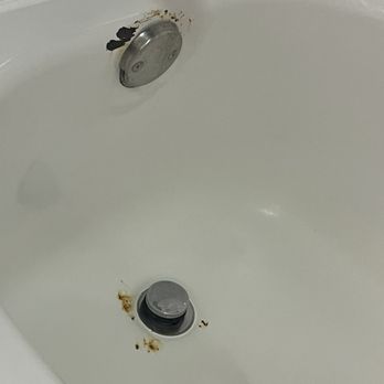 Hampton Inn Austin-Round Rock - Ewww brother.... What is that? - Hotels Near Me - Round Rock, Texas Hampton Inn Austin-Round Rock - Ewww brother.... What is that? - Hotels Near Me - Round Rock, Texas