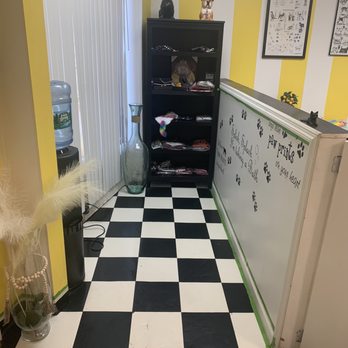 Pawsitively Purrfect - Pet Boarding Near Me - Union, New Jersey Pawsitively Purrfect - Pet Boarding Near Me - Union, New Jersey