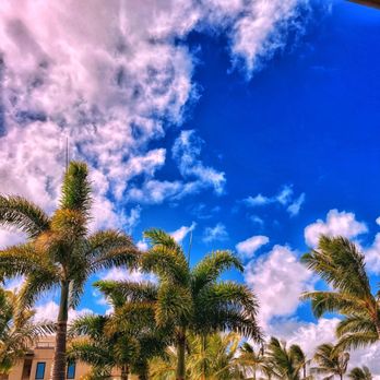Hualani's - Where you give car to valet - Hawaiian Near Me - Lihue, Hawaii Hualani's - Where you give car to valet - Hawaiian Near Me - Lihue, Hawaii