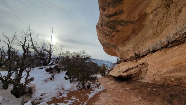Natural Bridges National Monument by null