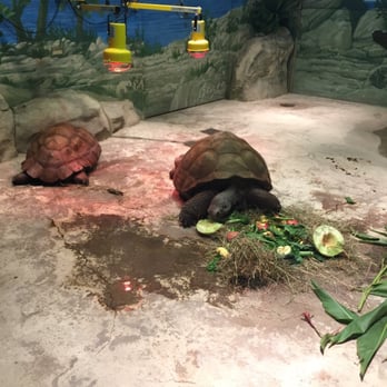 Akron Zoo - Zoos Near Me - Akron, Ohio