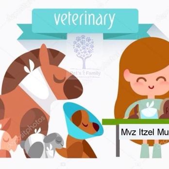 Pet's  Family - Te esperamos consultas, vacunas, cirugías,estética, hospital, pensión, guardería - Veterinarians Near Me - Tijuana, BCN