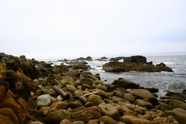 Salt Point State Park by null