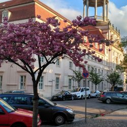 NETTO - Frühling ist, wenn selbst der kurze Fußweg abends zu netto wie ein kleiner Ausflug ist.