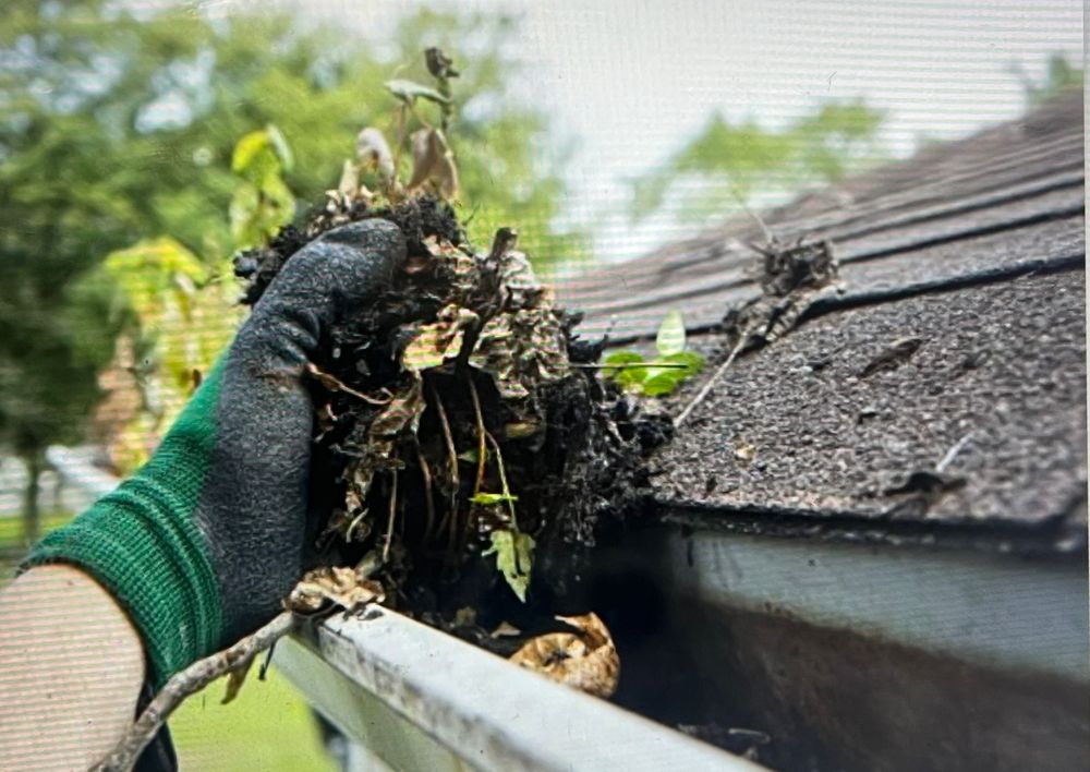 Nature Cleaning - tree service in Salt Lake City, UT