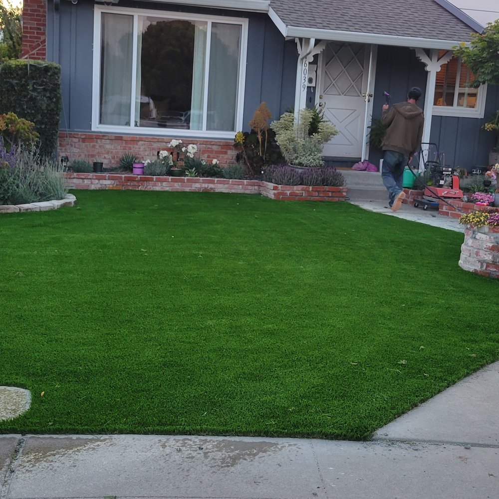 Turf World - Artificial Turf Near Me - San Leandro, California Turf World - Artificial Turf Near Me - San Leandro, California