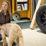 Photo of High Country Truck & Car Accessories