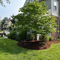 M.J.D Landscape Solutions