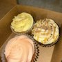 Photo of Amoroso's Bakery