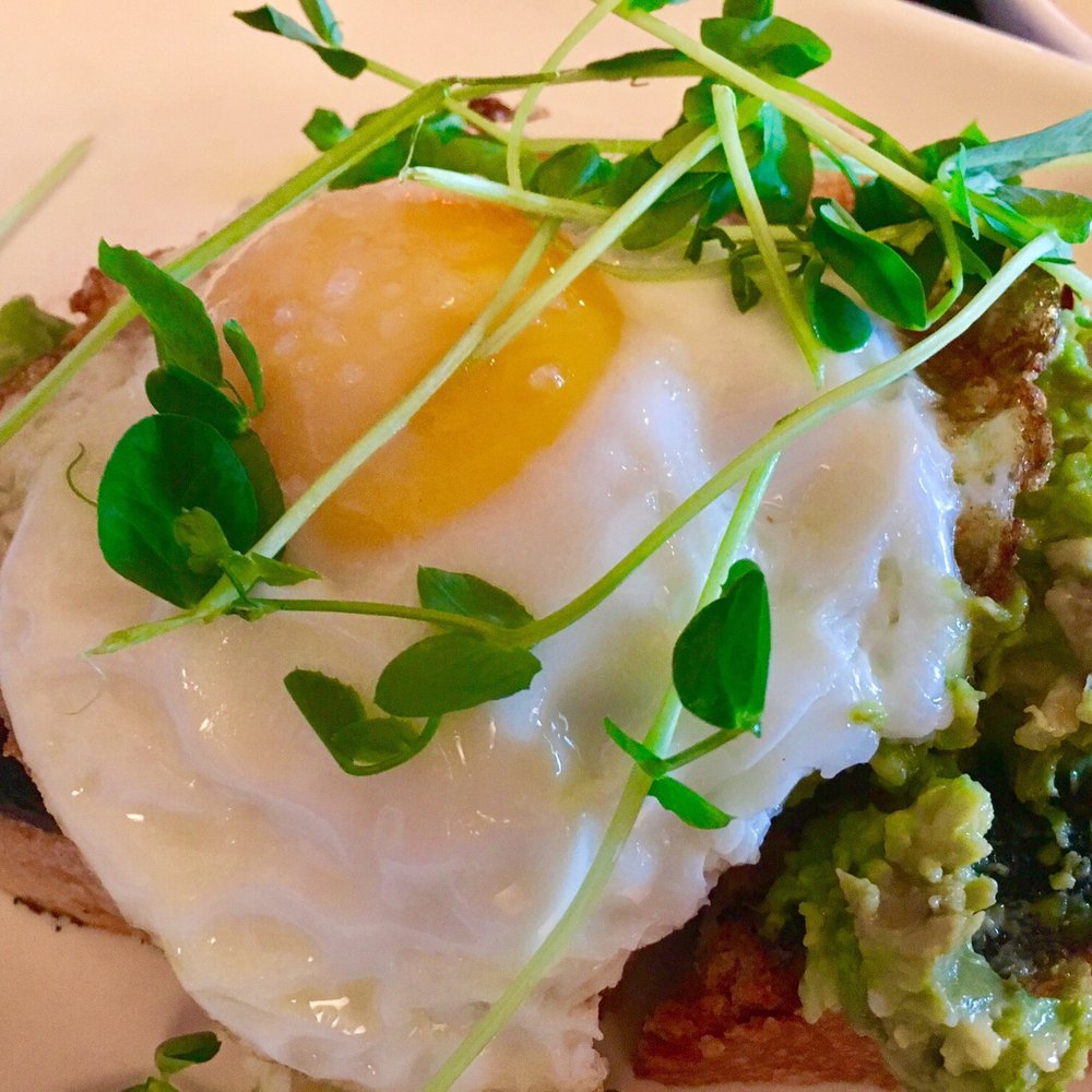Midnights - Avocado Toast with Fried Egg was heavenly. - Cocktail Bars Near Me - Brooklyn, New York Midnights - Avocado Toast with Fried Egg was heavenly. - Cocktail Bars Near Me - Brooklyn, New York