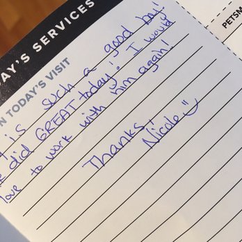 PetSmart - He wasn't always this easy. The groomers have patience. Would recommend. - Pet Groomers Near Me - North Attleboro, Massachusetts