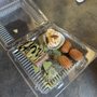 Photo of Valley Sweets