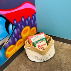 Pediatric Dental Associates - Park Ridge - Book nook