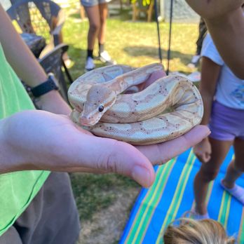 Kids Reptile Parties - Party & Event Planning Near Me Kids Reptile Parties - Party & Event Planning Near Me