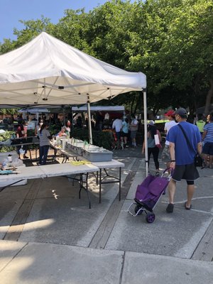 Union City Farmers' Market by null