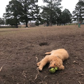 Riverside Dog Park - Dog Parks Near Me - Fayetteville, North Carolina Riverside Dog Park - Dog Parks Near Me - Fayetteville, North Carolina