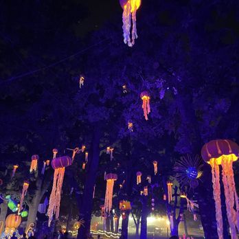 Pumpkin Nights - Festivals Near Me - Arlington, Texas Pumpkin Nights - Festivals Near Me - Arlington, Texas