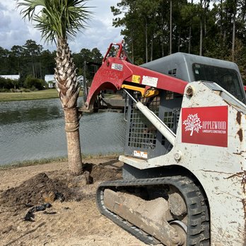 Applewood Landscapes Construction - Palm Tree Installation - Landscaping Near Me
