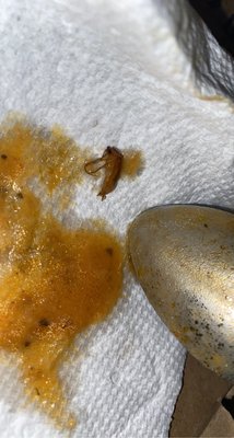 Mambo Italian Street Food by null