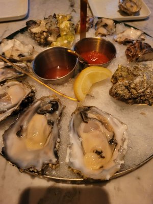 Redlands Oyster Cult by null