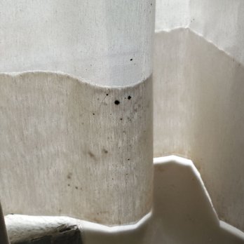 Quality Inn & Suites Arnold - St Louis - black mold growing on curtains - Hotels Near Me - Arnold, Missouri Quality Inn & Suites Arnold - St Louis - black mold growing on curtains - Hotels Near Me - Arnold, Missouri