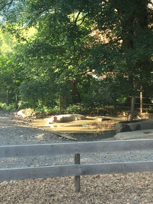 Ballenberg, Swiss Open-Air Museum by null