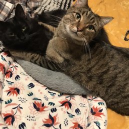 Beau & Arrow Beau & Arrow