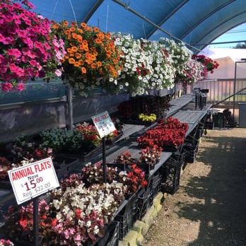 White Oak Garden Center - Nurseries & Gardening Near Me - Cincinnati, Ohio White Oak Garden Center - Nurseries & Gardening Near Me - Cincinnati, Ohio