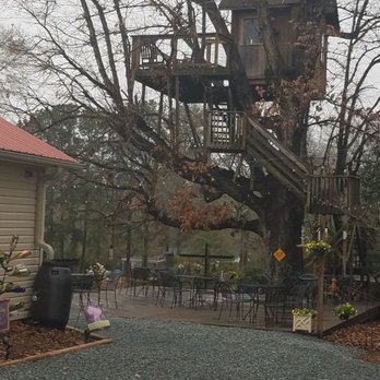 Treehouse Vineyards - Venues & Event Spaces Near Me - Monroe, North Carolina Treehouse Vineyards - Venues & Event Spaces Near Me - Monroe, North Carolina