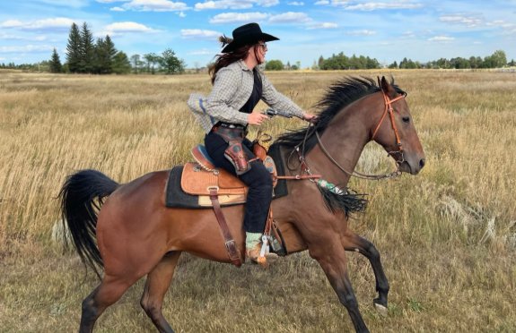 Equara Horse Riding - equestrian in Houston, TX