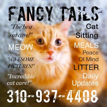 Fancy Tails - Dog Walkers Near Me - Hermosa Beach, California Fancy Tails - Dog Walkers Near Me - Hermosa Beach, California