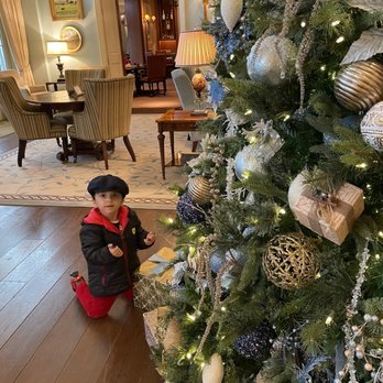 Gold Cup Wine Bar - a little boy playing with a christmas tree - New American Near Me - Middleburg, Virginia Gold Cup Wine Bar - a little boy playing with a christmas tree - New American Near Me - Middleburg, Virginia