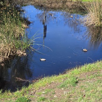 Hosp Grove Park - Quack! - Parks Near Me - Carlsbad, California
