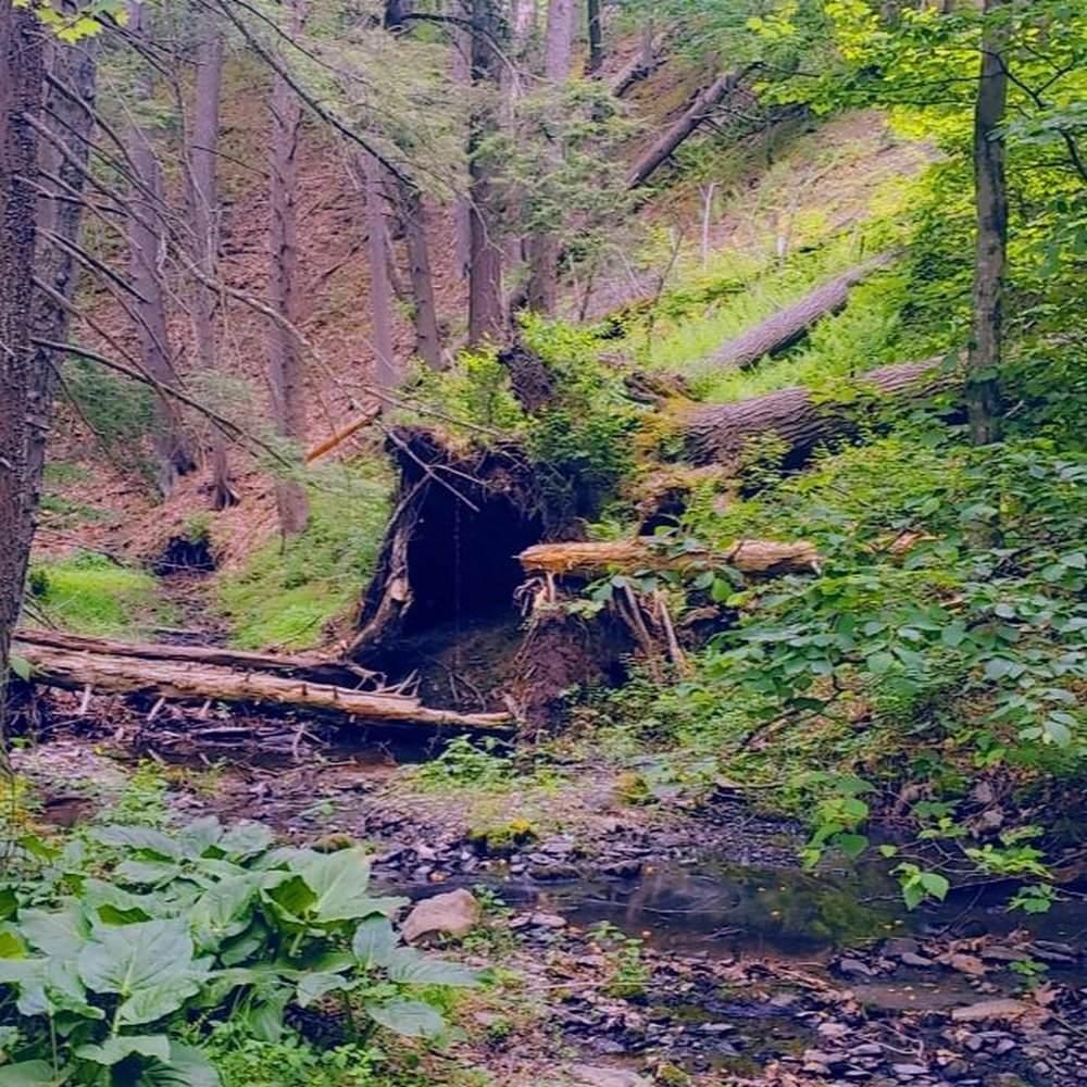 Bushkill Falls - Tours Near Me - Bushkill, Pennsylvania Bushkill Falls - Tours Near Me - Bushkill, Pennsylvania