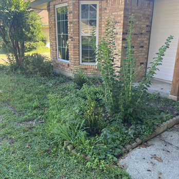 Prime Property Cleanup - Before picture of a flower bed and yard of one of my favorite clients - Pressure Washers Near Me Prime Property Cleanup - Before picture of a flower bed and yard of one of my favorite clients - Pressure Washers Near Me