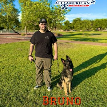 All-American K-9 Dog Training - Pet Training Near Me