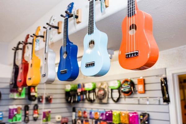 Guitar Lesson Studio & Music Store