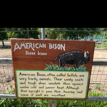 Lords Park Zoo - Bison sign - Zoos Near Me