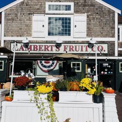 Lambert's Rainbow Fruit