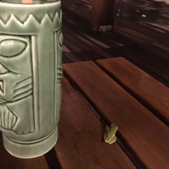 Catahoula Rooftop Bar - Venues & Event Spaces Near Me - New Orleans, Louisiana Catahoula Rooftop Bar - Venues & Event Spaces Near Me - New Orleans, Louisiana