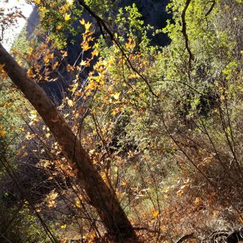 Holy Jim Falls Trail - Hiking Near Me - Trabuco Canyon, California