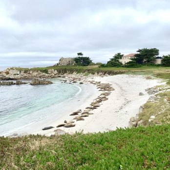 Big Sur Adventures - Bike Rentals Near Me - Pacific Grove, California Big Sur Adventures - Bike Rentals Near Me - Pacific Grove, California