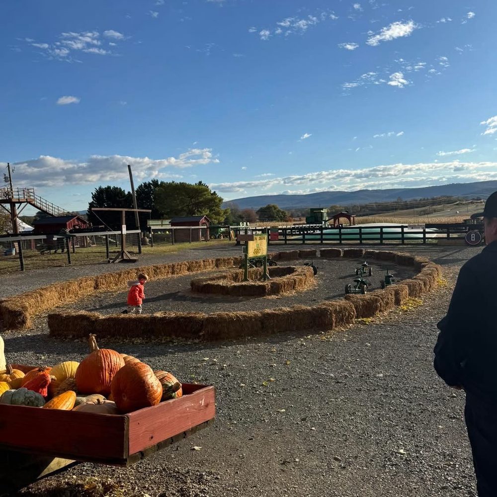 TOP 10 BEST Pumpkin Patch Farm near Nokesville, VA - Updated 2026 - Yelp