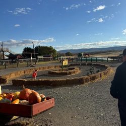 Wayside Farm Fun