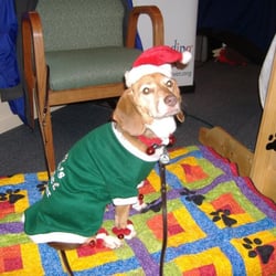 Northshore United Church of Christ - Reading With Rover at Annual Alternative Gift Fair.