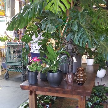 Evergreen Nursery - Nurseries & Gardening Near Me - San Leandro, California Evergreen Nursery - Nurseries & Gardening Near Me - San Leandro, California