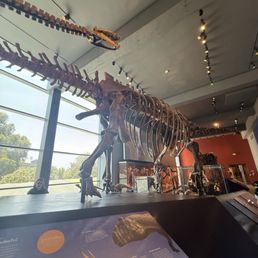 Natural History Museum Of Los Angeles County Weather