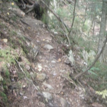 Ripley Falls - Lot of slimy things live in the woods - Hiking Near Me - Fabyan, New Hampshire Ripley Falls - Lot of slimy things live in the woods - Hiking Near Me - Fabyan, New Hampshire